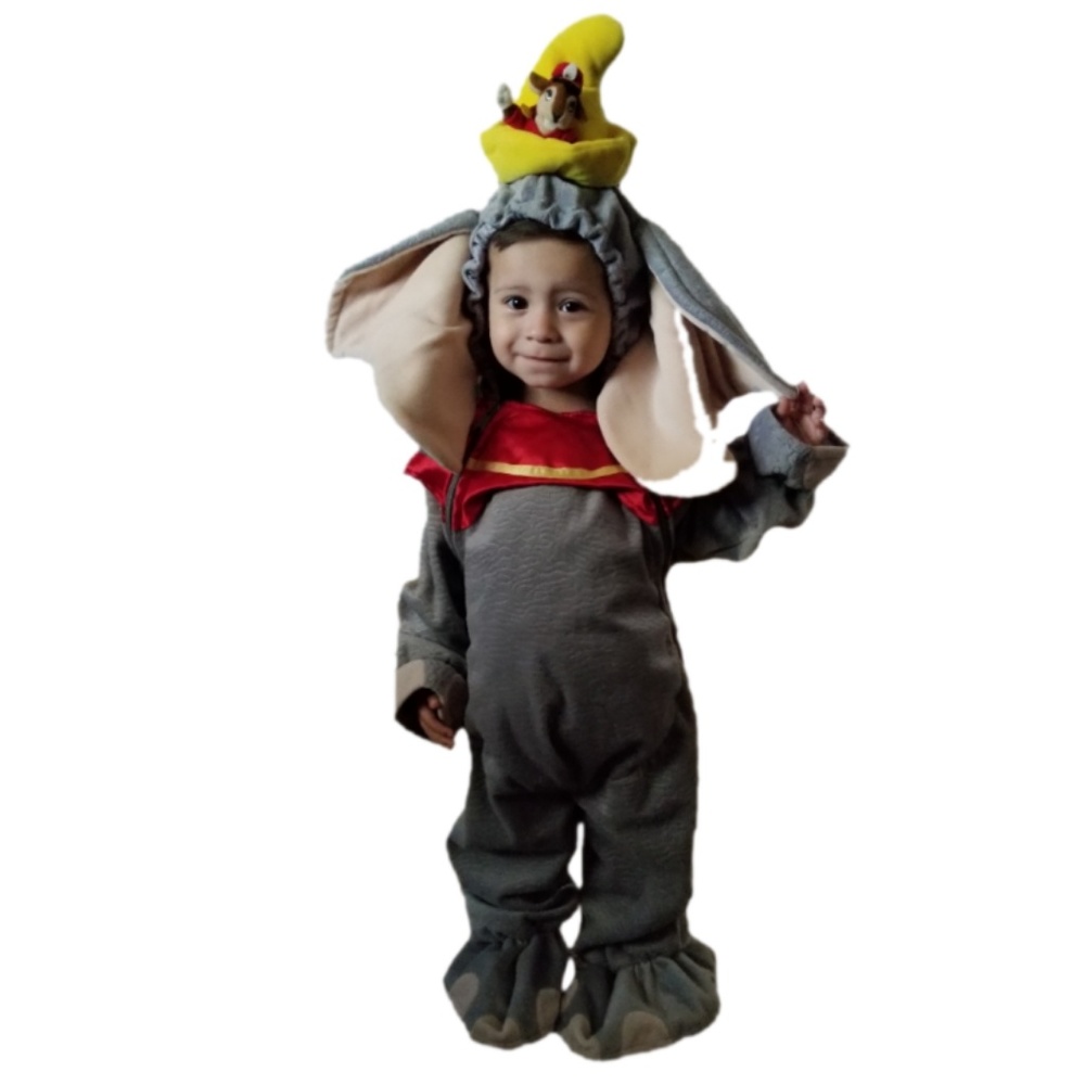 Disney Dumbo Comstume